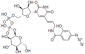 CAS 登录号：137731-71-6， [(2R,3S,4R,5R)-5-[5-[(E)-3-[(4-叠氮基-2-羟基苯甲酰基)氨基]丙-1-烯基]-2,4-二氧代嘧啶-1-基]-3,4-二羟基四氢呋喃-2-基]甲基[羟基-[(2R,3R,4S,5S,6R)-3,4,5-三羟基-6-(羟基甲基)四氢吡喃-2-基]氧基磷酰]磷酸氢酯