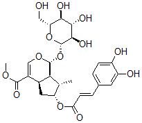 CAS 登录号：139051-14-2， (1R,4aR,6R,7S,7aR)-6-[(E)-3-(3,4-二羟基苯基)丙-2-烯酰基]氧基-7-甲基-1-[(2S,3R,4S,5S,6R)-3,4,5-三羟基-6-(羟基甲基)四氢吡喃-2-基]氧基-1,4a,5,6,7,7a-六氢环戊并[d]吡喃-4-羧酸甲酯