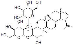 CAS 登录号：140231-39-6， 3-O-(beta-D-吡喃葡萄糖基(1-2)beta-D-吡喃葡萄糖基)-2alpha,3beta-二羟基羽扇-20(29)-烯
