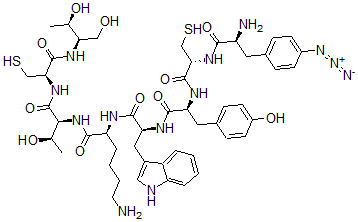 CAS 登录号：141949-00-0， 叠氮基苯丙氨酰-半胱氨酰-酪氨酰-色氨酰-赖氨酰-苏氨酰-半胱氨酰-苏氨-醇