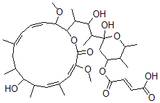 CAS 登录号：142386-67-2， (E)-4-[2-羟基-2-[3-羟基-4-[(4E,6E,12E,14E)-10-羟基-3,15-二甲氧基-7,9,11,13-四甲基-16-氧代-1-氧杂环十六碳-4,6,12,14-四烯-2-基]戊烷-2-基]-5,6-二甲基四氢吡喃-4-基]氧基-4-氧代丁-2-烯酸