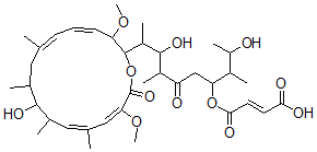 CAS 登录号：142386-68-3， (E)-4-[2,8-二羟基-9-[(4E,6E,12E,14E)-10-羟基-3,15-二甲氧基-7,9,11,13-四甲基-16-氧代-1-氧杂环十六碳-4,6,12,14-四烯-2-基]-3,7-二甲基-6-氧代癸烷-4-基]氧基-4-氧代丁-2-烯酸