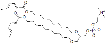 CAS 登录号：143023-08-9， 2,3-二[10-[(2E,4E)-己-2,4-二烯酰基]氧基癸氧基]丙基2-三甲基铵乙基磷酸酯盐