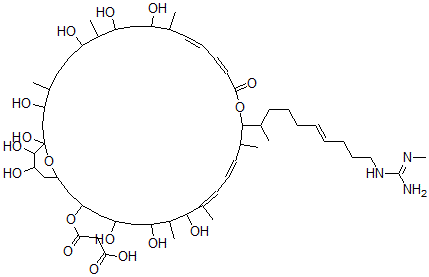 CAS 登录号：143906-47-2， 3-[[(13E,15Z,21E,23E)-1,3,7,9,11,25,27,29,35,36-十羟基-4,8,12,20,24,26-六甲基-19-[(E)-10-[(N'-甲基甲脒基)氨基]癸-6-烯-2-基]-17-氧代-18,37-二氧杂双环[31.3.1]三十七碳-13,15,21,23-四烯-31-基]氧基]-3-氧代丙酸