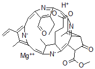 CAS 登录号：14428-12-7， 脱植基叶绿素B