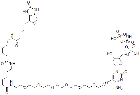 CAS 登录号：145396-05-0， 生物素-36-脱氧三磷酸胞苷