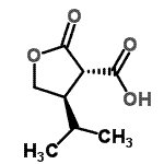 CAS 登录号：147160-17-6， (3S,4R)-4-异丙基-2-氧代四氢-3-呋喃羧酸