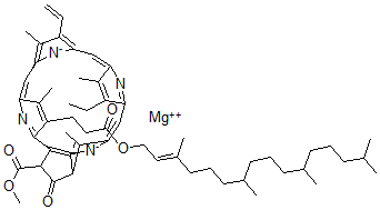CAS 登录号：14751-08-7， 原叶绿素a