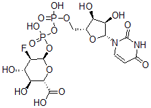 CAS 登录号：149091-03-2， (2S,3S,4S,5R,6R)-6-[[[(2R,3S,4R,5R)-5-(2,4-二氧代嘧啶-1-基)-3,4-二羟基四氢呋喃-2-基]甲氧基-羟基磷酰]氧基-羟基磷酰]氧基-5-氟-3,4-二羟基四氢吡喃-2-羧酸