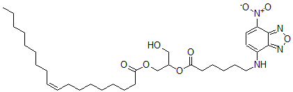 CAS#: 155581-64-9, [3-Hydroxy-2-[6-[(4-Nitro-2,1,3-Benzoxadiazol-7-Yl)Amino]Hexanoyloxy]Propyl] (Z)-Octadec-9-Enoate