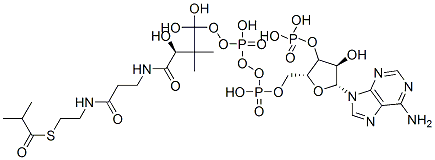 CAS 登录号：15621-60-0， [(2R,3S,4R,5R)-5-(6-氨基嘌呤-9-基)-4-羟基-2-[[羟基-[羟基-[(3R)-3-羟基-2,2-二甲基-3-[2-[2-(2-甲基丙烷酰基硫基)乙基氨基甲酰]乙基氨基甲酰]丙氧基]磷酰]氧基-磷酰]氧基甲基]四氢呋喃-3-基]氧基膦酸