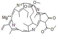 CAS#: 15741-04-5, Methylchlorophyllide A