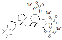 CAS#: 162232-39-5, Sodium [(2S,3S,6S,8S,9S,10R,13R,14S,17R)-10,13-Dimethyl-2,3-Disulfonatooxy-17-[(2R)-5,6,6,7-Tetramethyloctan-2-Yl]-2,3,4,5,6,7,8,9,11,12,14,15,16,17-Tetradecahydro-1H-Cyclopenta[a]Phenanthren-6-Yl] Sulfate