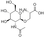 CAS 登录号：17041-36-0， O-[2-(乙酰氨基)-2-脱氧-beta-D-吡喃葡萄糖基]-L-丝氨酸