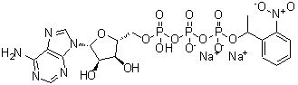 CAS#: 171800-68-3, Disodium 5'-O-(hydroxy{[({[1-(2-nitrophenyl)ethoxy]phosphinato}oxy)phosphinato]oxy}phosphoryl)adenosine