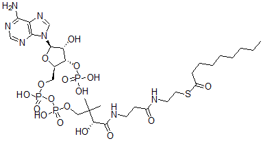 CAS 登录号：17331-98-5， 壬酰-辅酶A