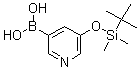 CAS 登录号：173999-08-1， 5-([叔丁基(二甲基)硅烷基]氧基)吡啶-3-硼酸