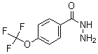 CAS 登录号：175277-18-6， 4-(三氟甲氧基)-苯甲酰肼
