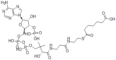 CAS#: 18907-20-5, Pimeloyl-Coenzyme A