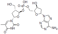 CAS 登录号：19192-40-6， 2'-脱氧胸苷酰-(3'-5')-2'-脱氧腺苷