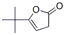 CAS 登录号：19918-17-3， 5-叔-丁基-3H-呋喃-2-酮