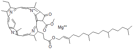 CAS 登录号：22309-13-3， 叶绿素 A'