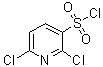 CAS 登录号：239810-43-6， 2,6-二氯-3-吡啶磺酰氯