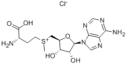 CAS 登录号:24346-00-7, S-腺苷-L-蛋氨酸氯化物