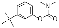 CAS 登录号：24487-50-1， 3-叔-丁基苯基=N,N-二甲基氨基甲酸酯