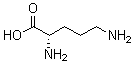 CAS 登录号：25104-12-5， 聚鸟氨酸