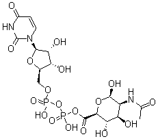 CAS 登录号：25174-34-9， 尿苷二磷酸酯 N-乙酰基-D-氨基甘露醇醛酸盐