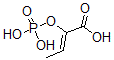 CAS 登录号：25956-55-2， 2-(膦酰氧基)-2-丁烯酸