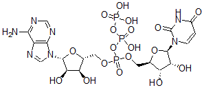 CAS#: 30632-06-5, [(2R,3S,4R,5R)-5-(6-Aminopurin-9-Yl)-3,4-Dihydroxyoxolan-2-Yl]Methyl [(2R,3S,4R,5R)-5-(2,4-Dioxopyrimidin-1-Yl)-3,4-Dihydroxyoxolan-2-Yl]Methyl (Hydroxy-Phosphonooxyphosphoryl) Phosphate