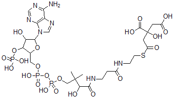 CAS#: 3131-26-8, 2-[2-[2-[3-[[4-[[[5-(6-Aminopurin-9-Yl)-4-Hydroxy-3-Phosphonooxyoxolan-2-Yl]Methoxy-Hydroxyphosphoryl]Oxy-Hydroxyphosphoryl]Oxy-2-Hydroxy-3,3-Dimethylbutanoyl]Amino]Propanoylamino]Ethylsulfanyl]-2-Oxoethyl]-2-Hydroxybutanedioic Acid