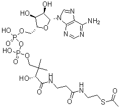 CAS#: 31664-34-3, Acetyl-dephospho-coenzyme A