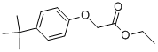 CAS#: 3344-19-2, Ethyl 2-(4-Tert-Butylphenoxy)Acetate