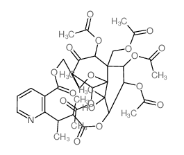 CAS 登录号：33458-64-9， 卫矛羰碱