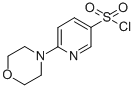 CAS#: 337508-68-6, 6-Morpholin-4-Yl-Pyridine-3-Sulfonyl Chloride