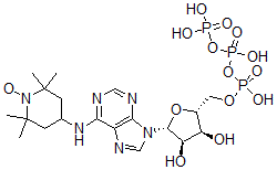 CAS 登录号：33913-54-1， 4-((9-(5-O-(羟基((羟基(膦酰氧基)亚膦酰)氧基)亚膦酰)-beta-D-呋喃核糖基)-9H-嘌呤-6-基)氨基)-2,2,6,6-四甲基-1-哌啶基氧基