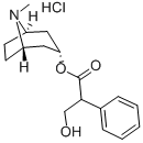 CAS#: 33952-38-4, (8-Methyl-8-Azabicyclo[3.2.1]Octan-3-Yl) 3-Hydroxy-2-Phenylpropanoate Hydrochloride