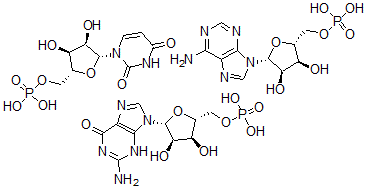 CAS#: 33960-30-4, 5'-Guanylic acid, polymer with 5'-adenylic acid and 5'-uridylic acid