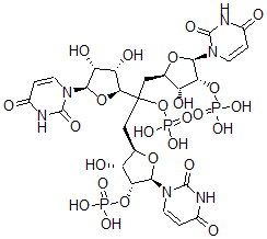 CAS 登录号：3504-15-2， [2-[(2S,3S,4R,5R)-5-(2,4-二氧代嘧啶-1-基)-3,4-二羟基四氢呋喃-2-基]-1,3-二[(2R,3R,4R,5R)-5-(2,4-二氧代嘧啶-1-基)-3-羟基-4-膦酰氧基四氢呋喃-2-基]丙-2-基]磷酸二氢酯