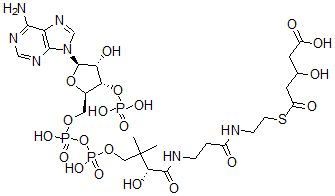 CAS 登录号：35192-10-0， 5-[2-[3-[[(2R)-4-[[[(2R,3S,4R,5R)-5-(6-氨基嘌呤-9-基)-4-羟基-3-膦酰氧基四氢呋喃-2-基]甲氧基-羟基磷酰]氧基-羟基磷酰]氧基-2-羟基-3,3-二甲基丁酰基]氨基]丙酰氨基]乙硫基]-3-羟基-5-氧代戊酸