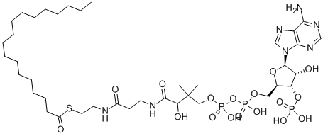 CAS#: 362-66-3, Coenzyme A-S-Octadecanoate