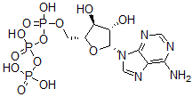 CAS 登录号：3714-60-1， [(2R,3S,4S,5R)-5-(6-氨基嘌呤-9-基)-3,4-二羟基四氢呋喃-2-基]甲基(羟基-膦酰氧基磷酰)磷酸氢酯
