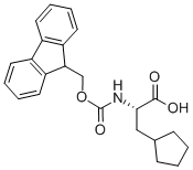 CAS 登录号：371770-32-0， (S)-2-((((9H-芴-9-基)甲氧基)羰基)氨基)-3-环戊基丙酸