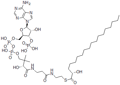 CAS 登录号：38861-93-7， S-[2-[3-[[(2R)-4-[[[(2R,3S,4R,5R)-5-(6-氨基嘌呤-9-基)-4-羟基-3-膦酰氧基四氢呋喃-2-基]甲氧基-羟基磷酰]氧基-羟基磷酰]氧基-2-羟基-3,3-二甲基丁酰基]氨基]丙酰氨基]乙基](2S)-2-羟基硫代十八烷酸酯