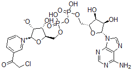 CAS 登录号：39938-03-9， (2R,3R,4S,5R)-5-[[[[(2R,3S,4R,5R)-5-(6-氨基嘌呤-9-基)-3,4-二羟基四氢呋喃-2-基]甲氧基-羟基磷酰]氧基-羟基磷酰]氧基甲基]-2-[3-(2-氯乙酰基)吡啶-1-鎓-1-基]-4-羟基四氢呋喃-3-醇