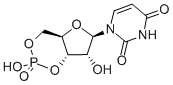 CAS 登录号：4004-57-3， 尿苷 3',5'-环单磷酸酯