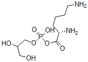 CAS 登录号：42241-11-2， 赖氨酰磷脂酰甘油